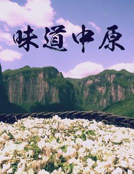 味道中原(全集)