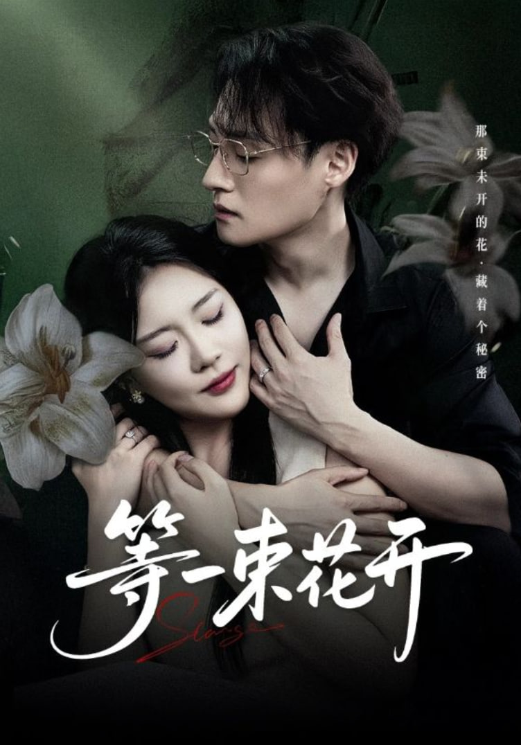 等一束花开(全集)