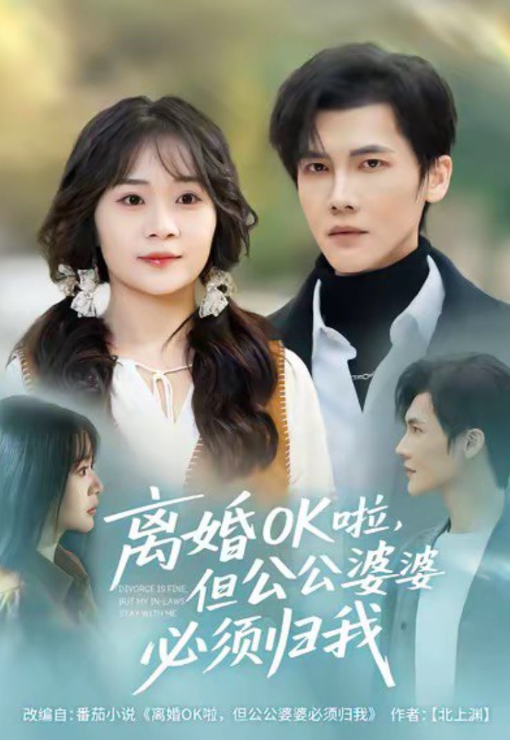 离婚OK啦，但公公婆婆必须归我(全集)
