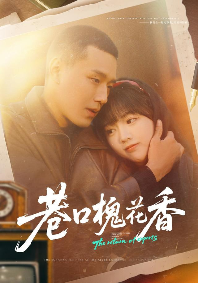 巷口槐花香(全集)
