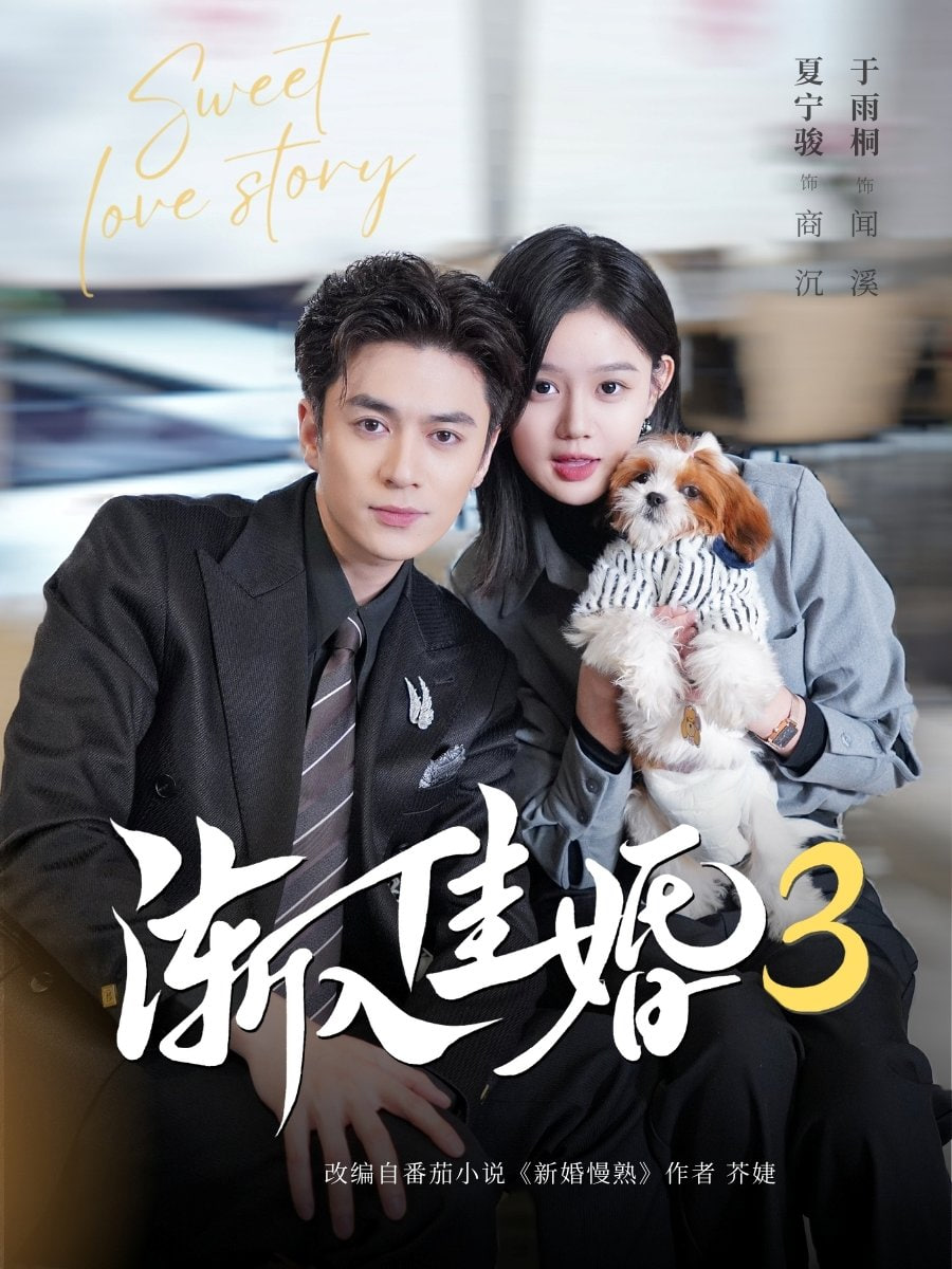 渐入佳婚3第三部(全集)