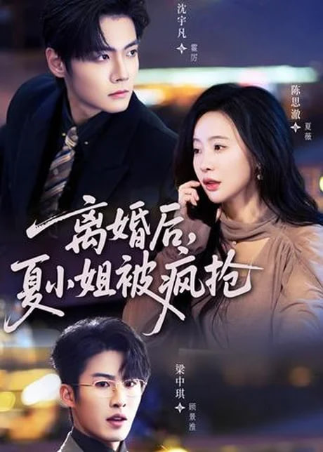 离婚后，夏小姐被疯抢(全集)