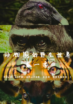 动物园的野生世界 第一季第01集