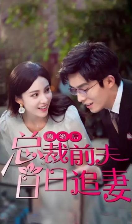 离婚后总裁前夫日日追妻全集(大结局)