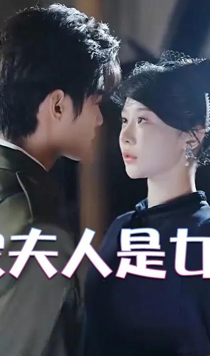 陆家夫人是女侠全集(大结局)